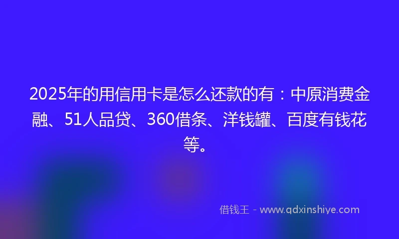 2025年的用信用卡是怎么还款的有：中原消费金融、51人品贷、360借条、洋钱罐、百度有钱花等。