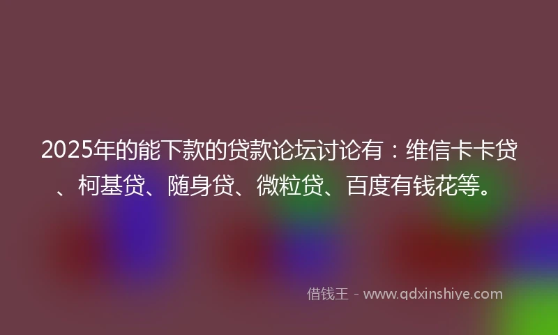 2025年的能下款的贷款论坛讨论有：维信卡卡贷、柯基贷、随身贷、微粒贷、百度有钱花等。