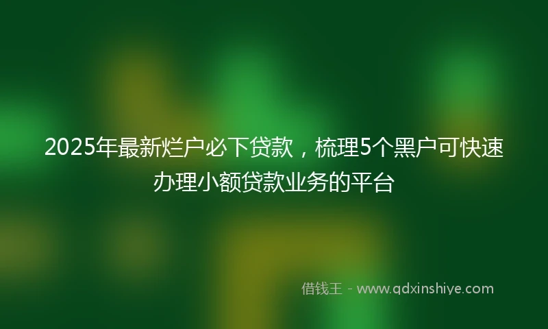 2025年最新烂户必下贷款，梳理5个黑户可快速办理小额贷款业务的平台