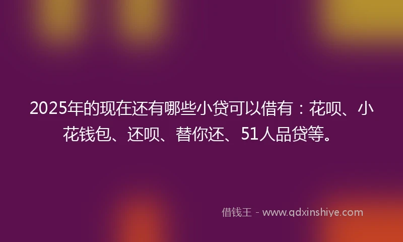 2025年的现在还有哪些小贷可以借有：花呗、小花钱包、还呗、替你还、51人品贷等。