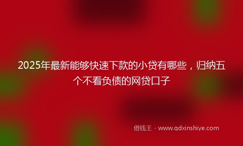 2025年最新能够快速下款的小贷有哪些，归纳五个不看负债的网贷口子