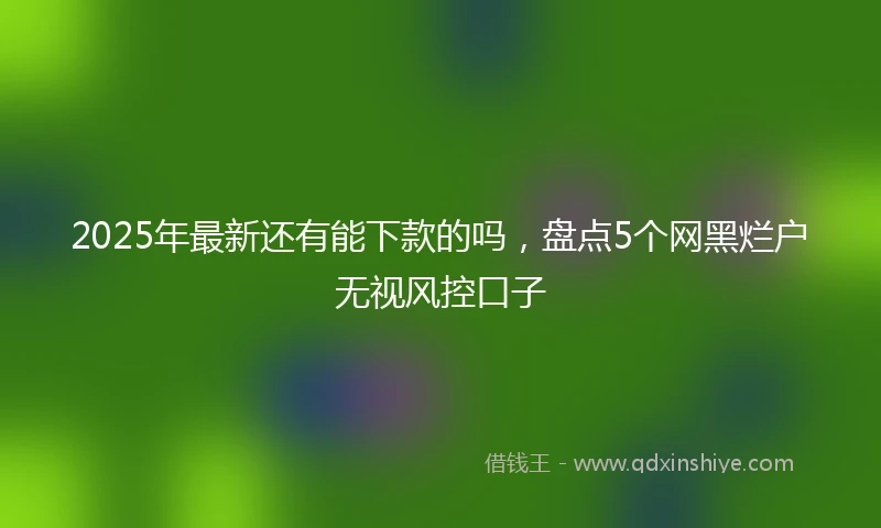2025年最新还有能下款的吗，盘点5个网黑烂户无视风控口子