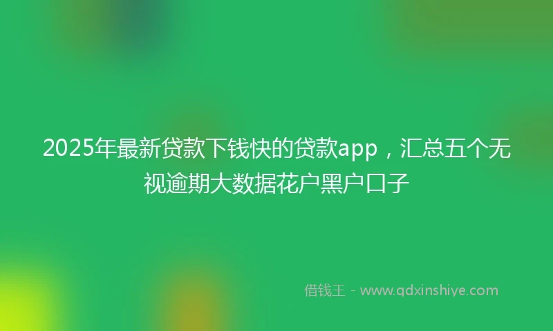 2025年最新贷款下钱快的贷款app，汇总五个无视逾期大数据花户黑户口子