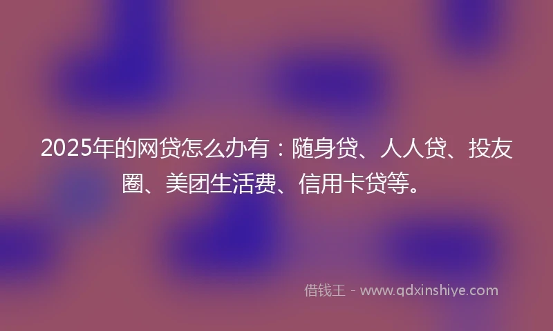 2025年的网贷怎么办有：随身贷、人人贷、投友圈、美团生活费、信用卡贷等。