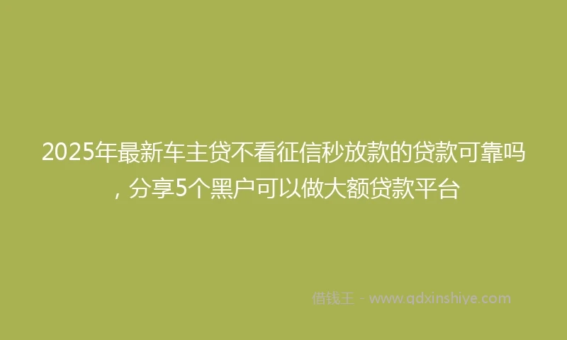 2025年最新车主贷不看征信秒放款的贷款可靠吗，分享5个黑户可以做大额贷款平台