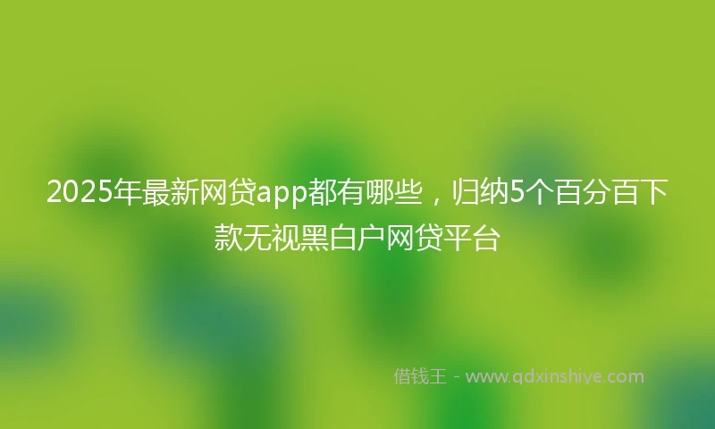 2025年最新网贷app都有哪些，归纳5个百分百下款无视黑白户网贷平台
