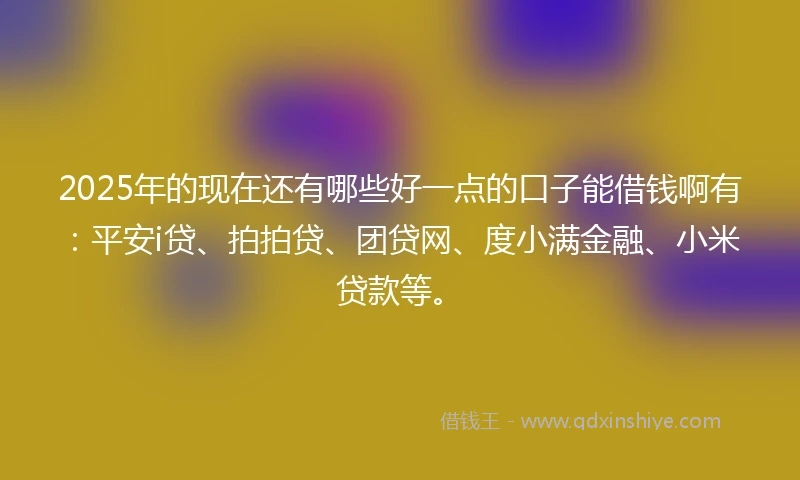 2025年的现在还有哪些好一点的口子能借钱啊有：平安i贷、拍拍贷、团贷网、度小满金融、小米贷款等。