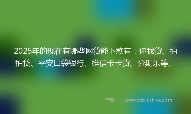 2025年的现在有哪些网贷能下款有：你我贷、拍拍贷、平安口袋银行、维信卡卡贷、分期乐等。