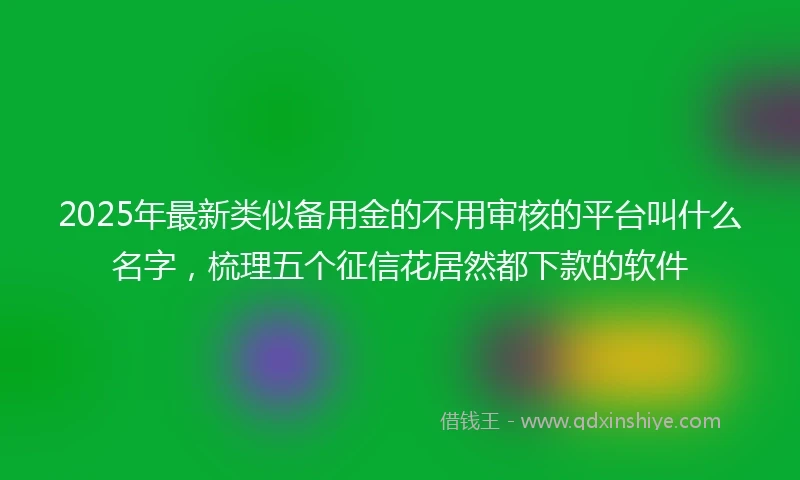 2025年最新类似备用金的不用审核的平台叫什么名字，梳理五个征信花居然都下款的软件