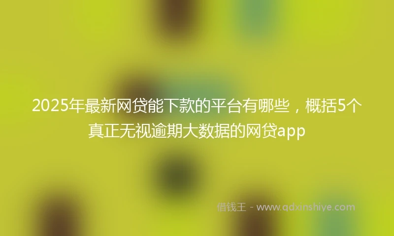 2025年最新网贷能下款的平台有哪些，概括5个真正无视逾期大数据的网贷app