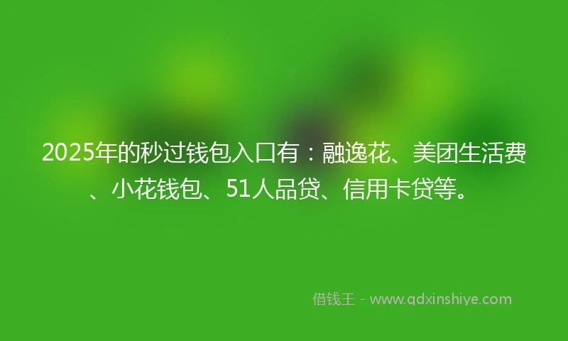 2025年的秒过钱包入口有：融逸花、美团生活费、小花钱包、51人品贷、信用卡贷等。
