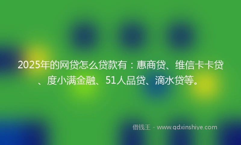 2025年的网贷怎么贷款有：惠商贷、维信卡卡贷、度小满金融、51人品贷、滴水贷等。