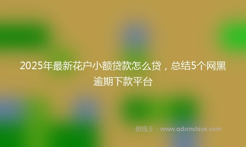 2025年最新花户小额贷款怎么贷，总结5个网黑逾期下款平台