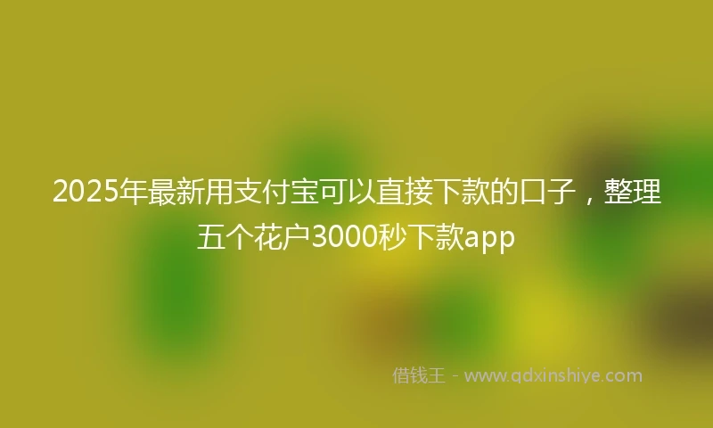 2025年最新用支付宝可以直接下款的口子，整理五个花户3000秒下款app