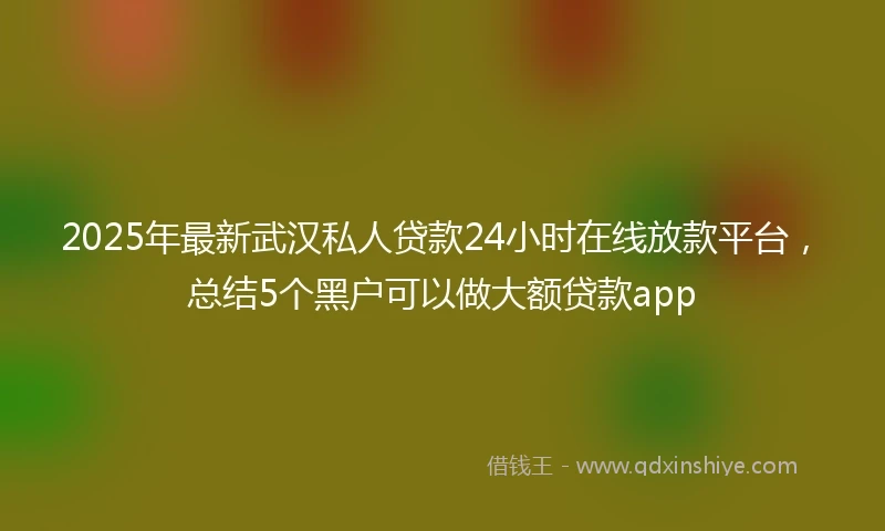 2025年最新武汉私人贷款24小时在线放款平台，总结5个黑户可以做大额贷款app