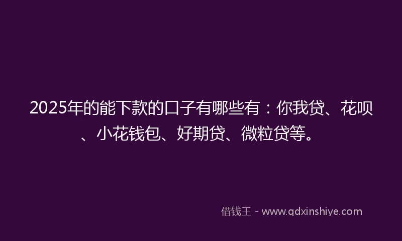 2025年的能下款的口子有哪些有：你我贷、花呗、小花钱包、好期贷、微粒贷等。