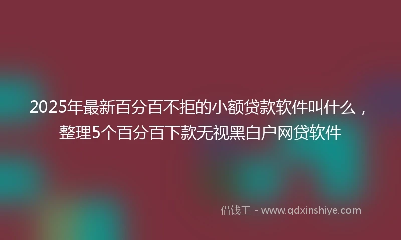 2025年最新百分百不拒的小额贷款软件叫什么，整理5个百分百下款无视黑白户网贷软件
