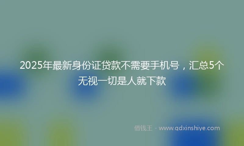 2025年最新身份证贷款不需要手机号，汇总5个无视一切是人就下款
