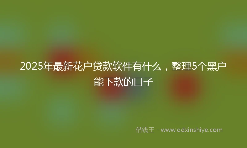 2025年最新花户贷款软件有什么，整理5个黑户能下款的口子