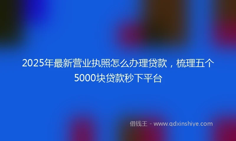 2025年最新营业执照怎么办理贷款，梳理五个5000块贷款秒下平台