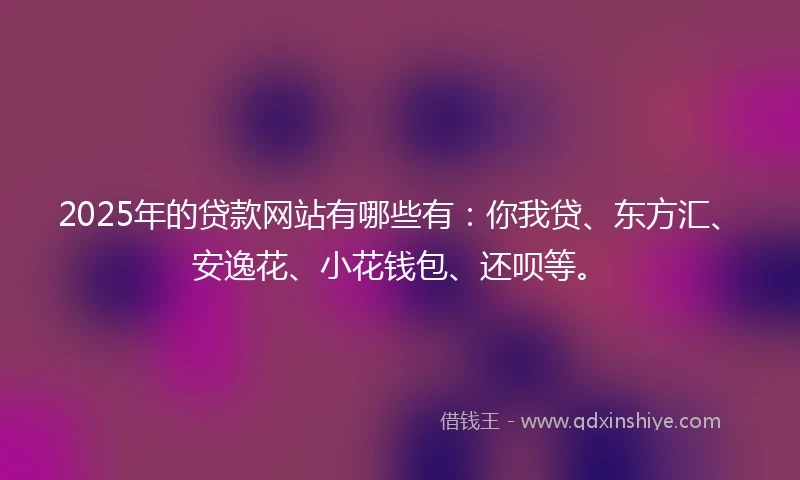 2025年的贷款网站有哪些有：你我贷、东方汇、安逸花、小花钱包、还呗等。