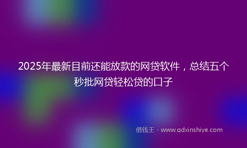 2025年最新目前还能放款的网贷软件，总结五个秒批网贷轻松贷的口子