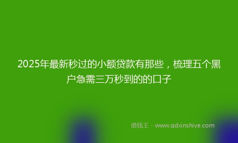 2025年最新秒过的小额贷款有那些，梳理五个黑户急需三万秒到的的口子