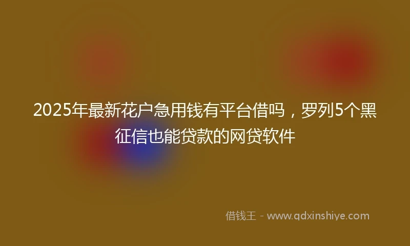 2025年最新花户急用钱有平台借吗，罗列5个黑征信也能贷款的网贷软件