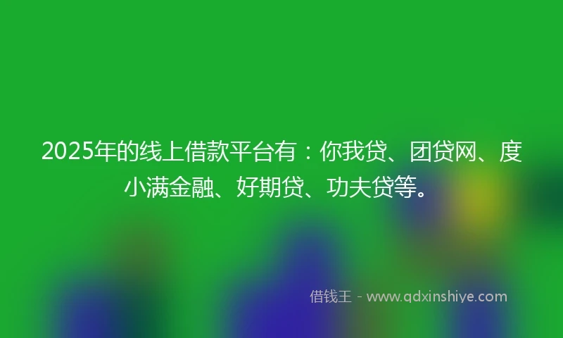 2025年的线上借款平台有：你我贷、团贷网、度小满金融、好期贷、功夫贷等。