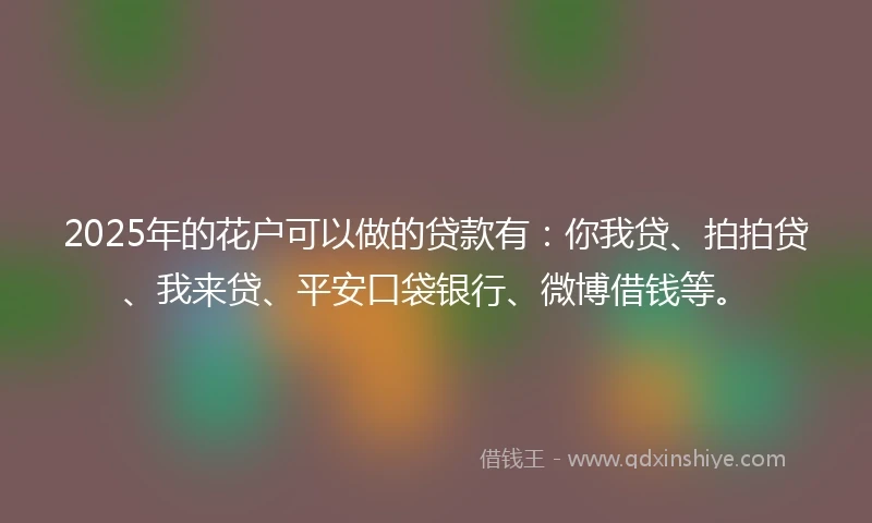 2025年的花户可以做的贷款有：你我贷、拍拍贷、我来贷、平安口袋银行、微博借钱等。