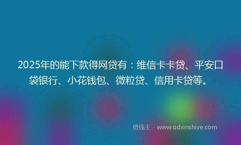 2025年的能下款得网贷有：维信卡卡贷、平安口袋银行、小花钱包、微粒贷、信用卡贷等。