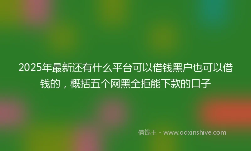 2025年最新还有什么平台可以借钱黑户也可以借钱的，概括五个网黑全拒能下款的口子