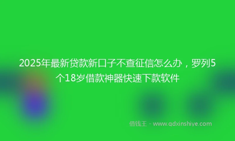 2025年最新贷款新口子不查征信怎么办，罗列5个18岁借款神器快速下款软件