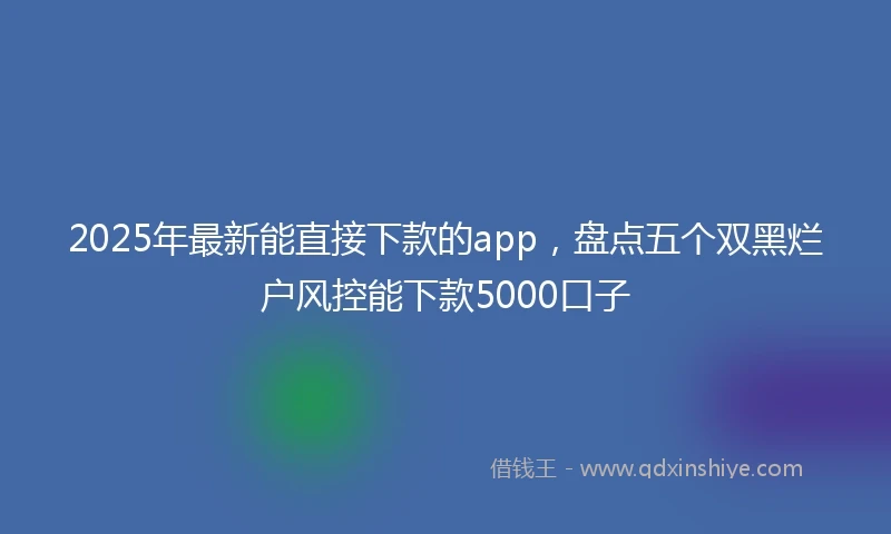 2025年最新能直接下款的app，盘点五个双黑烂户风控能下款5000口子