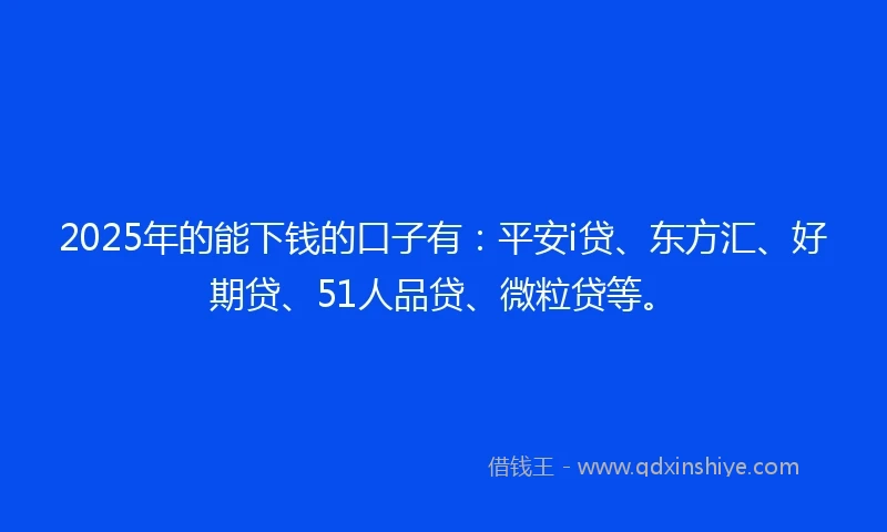 2025年的能下钱的口子有：平安i贷、东方汇、好期贷、51人品贷、微粒贷等。