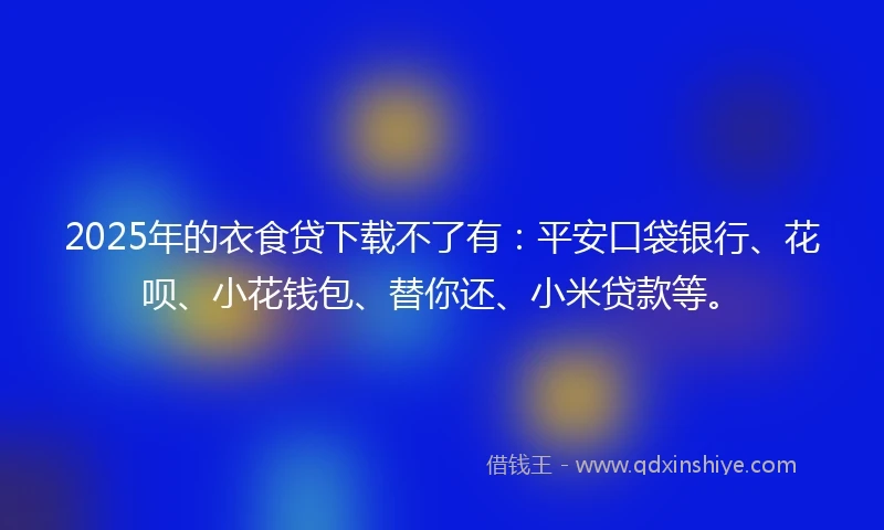 2025年的衣食贷下载不了有：平安口袋银行、花呗、小花钱包、替你还、小米贷款等。
