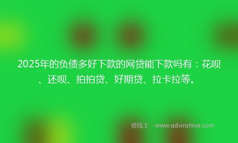 2025年的负债多好下款的网贷能下款吗有：花呗、还呗、拍拍贷、好期贷、拉卡拉等。