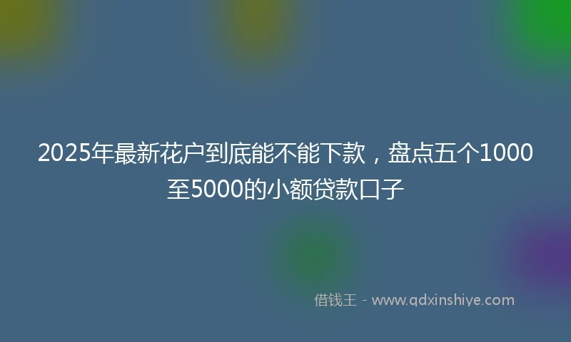 2025年最新花户到底能不能下款，盘点五个1000至5000的小额贷款口子
