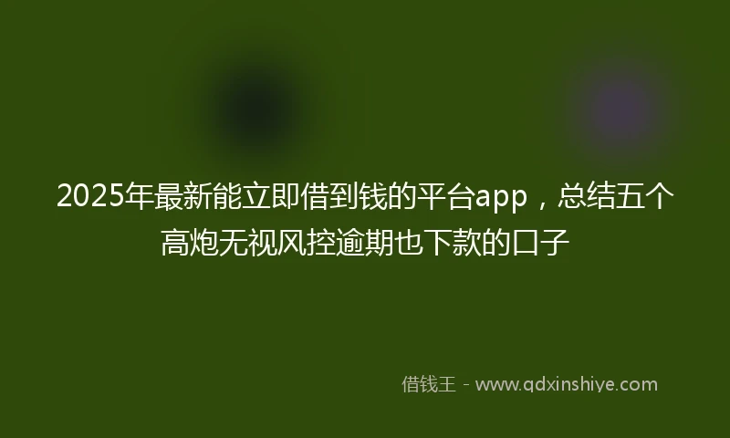 2025年最新能立即借到钱的平台app，总结五个高炮无视风控逾期也下款的口子