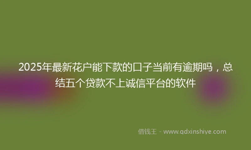 2025年最新花户能下款的口子当前有逾期吗，总结五个贷款不上诚信平台的软件