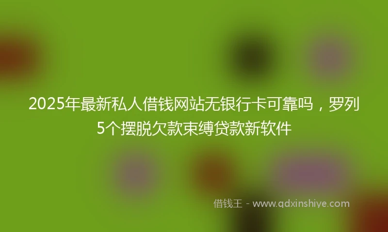 2025年最新私人借钱网站无银行卡可靠吗，罗列5个摆脱欠款束缚贷款新软件