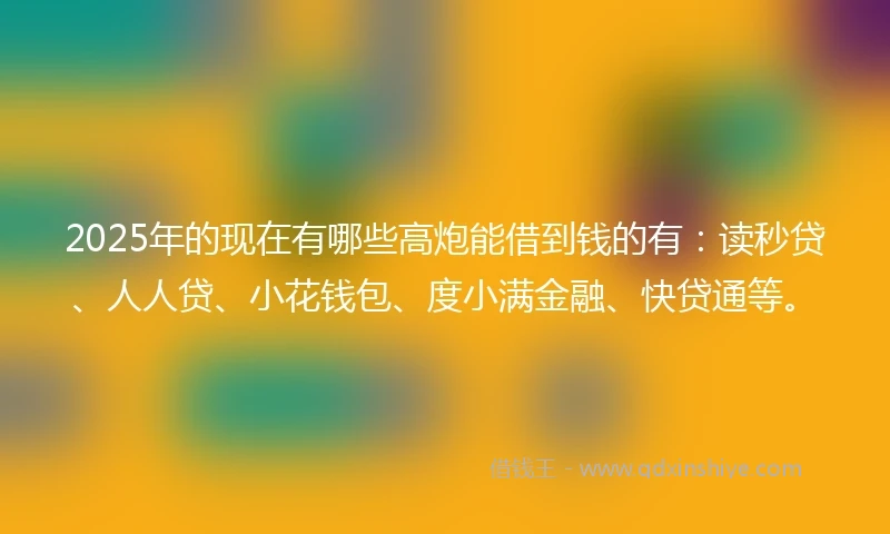 2025年的现在有哪些高炮能借到钱的有：读秒贷、人人贷、小花钱包、度小满金融、快贷通等。
