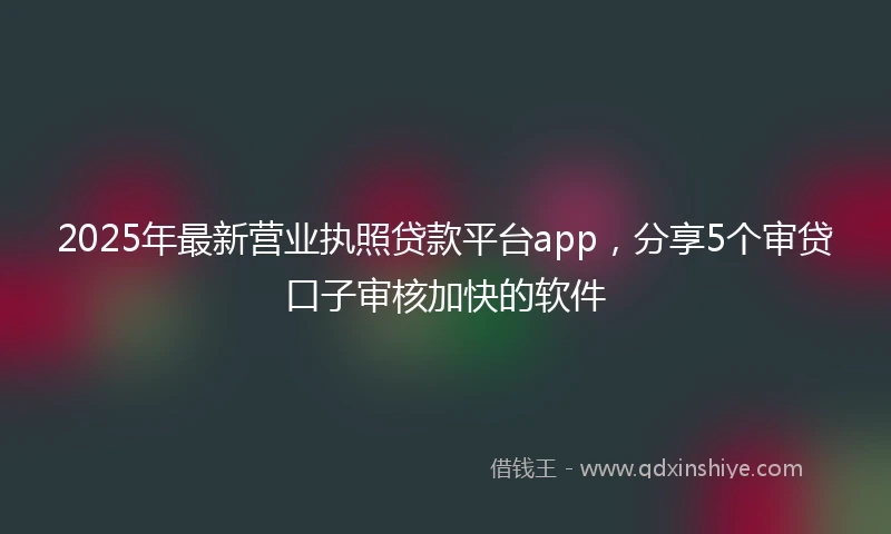 2025年最新营业执照贷款平台app，分享5个审贷口子审核加快的软件