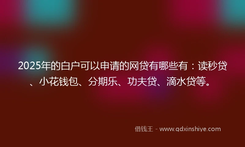 2025年的白户可以申请的网贷有哪些有：读秒贷、小花钱包、分期乐、功夫贷、滴水贷等。