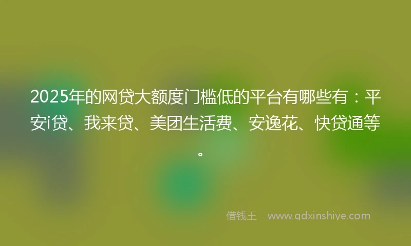 2025年的网贷大额度门槛低的平台有哪些有：平安i贷、我来贷、美团生活费、安逸花、快贷通等。