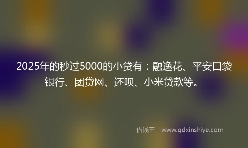 2025年的秒过5000的小贷有：融逸花、平安口袋银行、团贷网、还呗、小米贷款等。