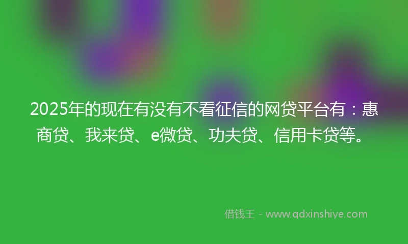 2025年的现在有没有不看征信的网贷平台有：惠商贷、我来贷、e微贷、功夫贷、信用卡贷等。
