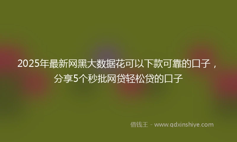 2025年最新网黑大数据花可以下款可靠的口子，分享5个秒批网贷轻松贷的口子