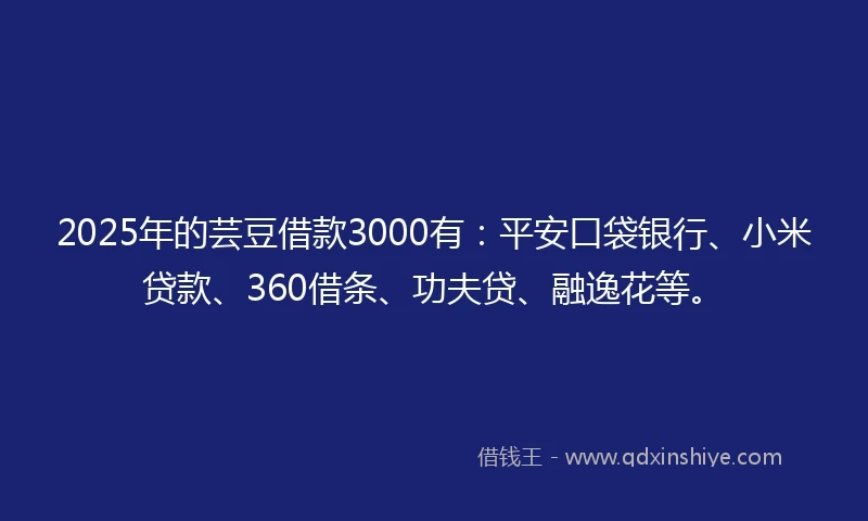 2025年的芸豆借款3000有：平安口袋银行、小米贷款、360借条、功夫贷、融逸花等。
