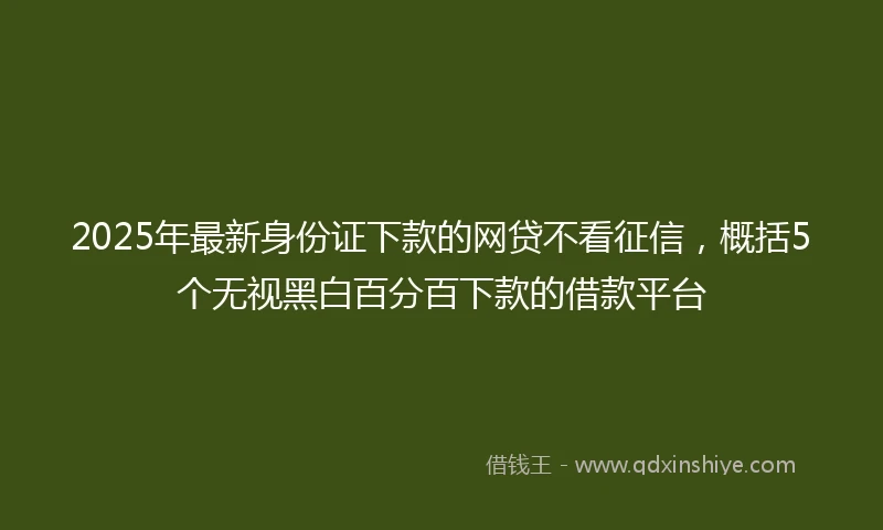 2025年最新身份证下款的网贷不看征信，概括5个无视黑白百分百下款的借款平台